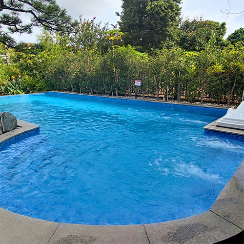 Laswim High Power Effecient Swimming Pool Pumps For Inground Pools