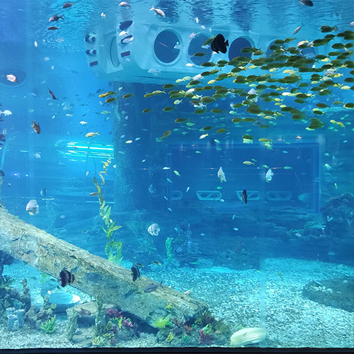 Laswim China Manufacturer Biological Filters For Ponds And Aquariums, Life Support System, LSS, RAS